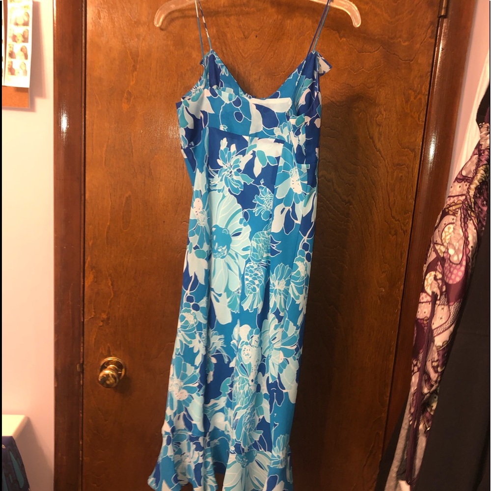 Express Dress - Picture 2 of 3
